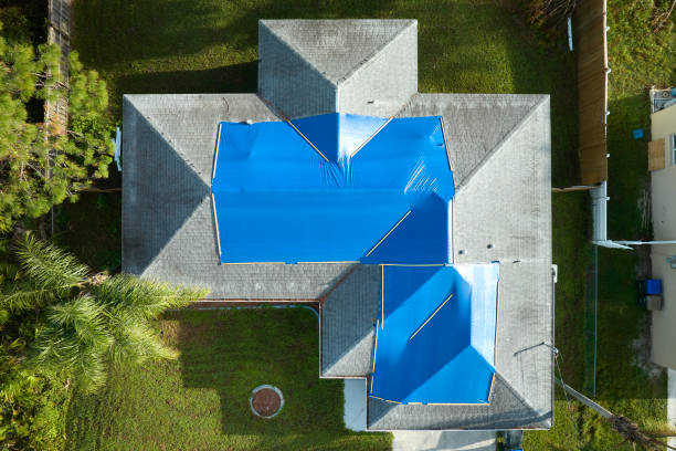 Best Metal Roofing Installation  in Waynesville, NC
