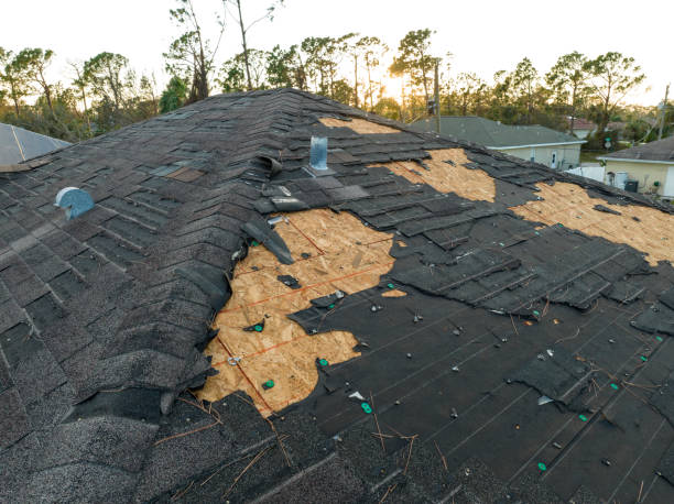Best Rubber Roofing (EPDM, TPO)  in Waynesville, NC